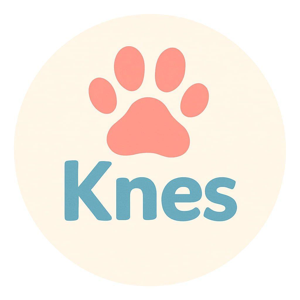 Knes