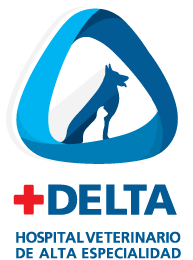 Delta Pet Clinic